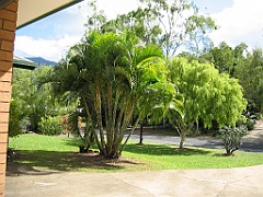 Cairns051