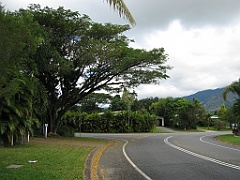 Cairns018