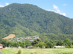Cairns043