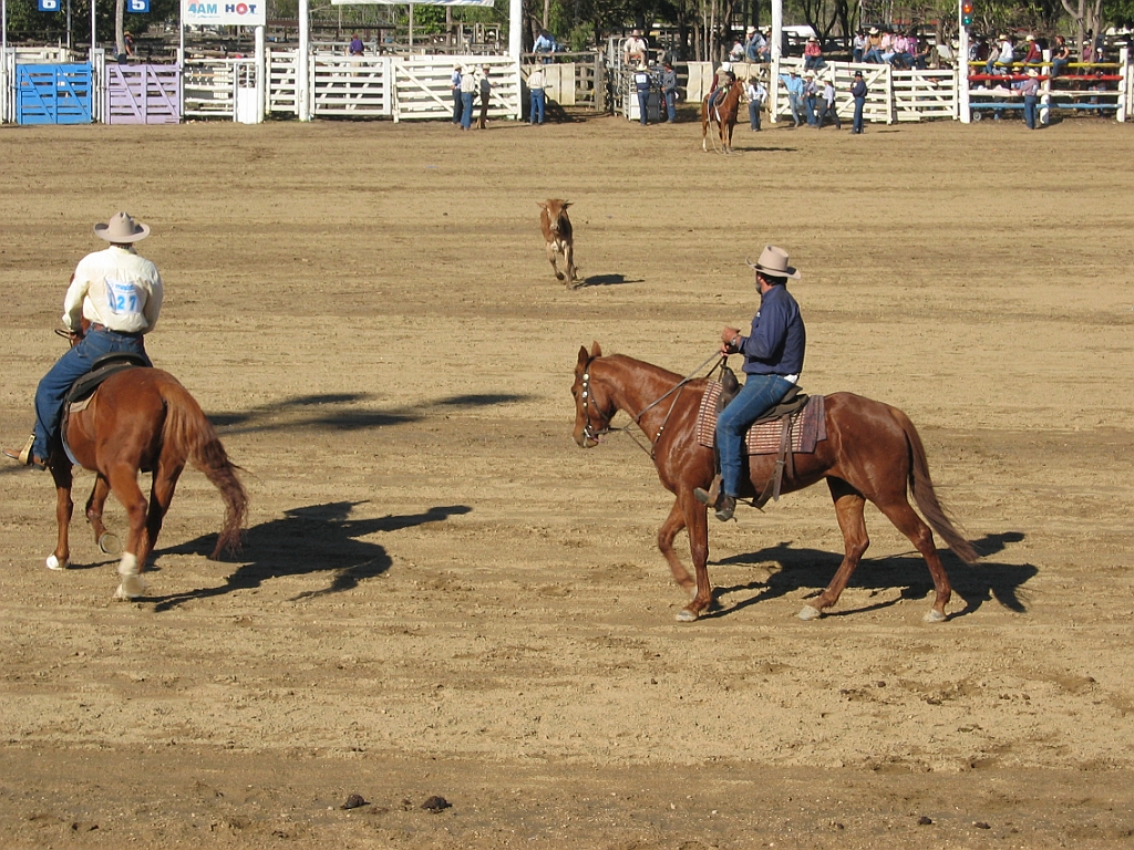 Rodeo14.jpg