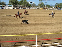Rodeo15