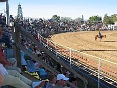 Rodeo17