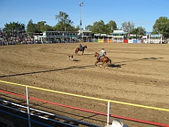 Rodeo18