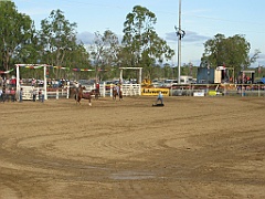 Rodeo50