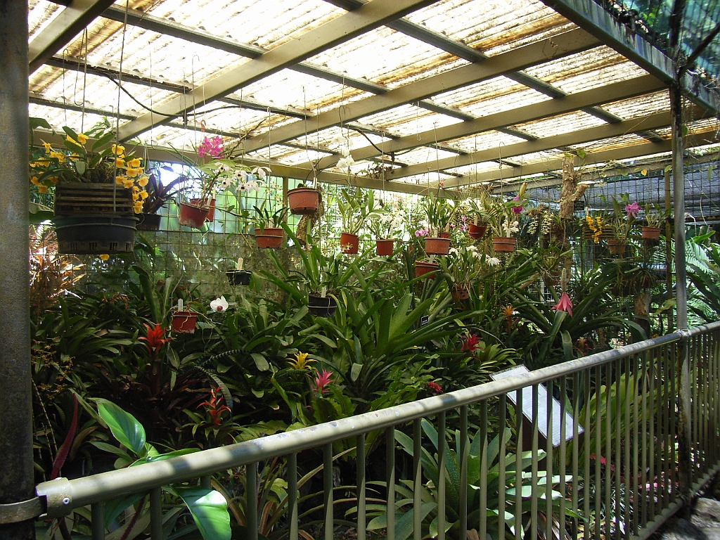 Cairns026.jpg - Unicode