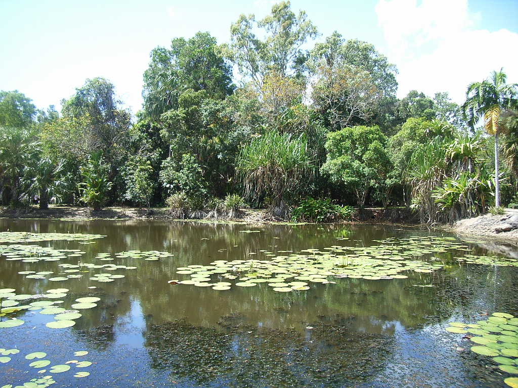 Cairns032.jpg - Unicode