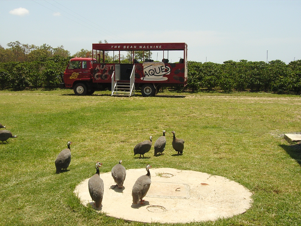 Cairns076.jpg - Unicode