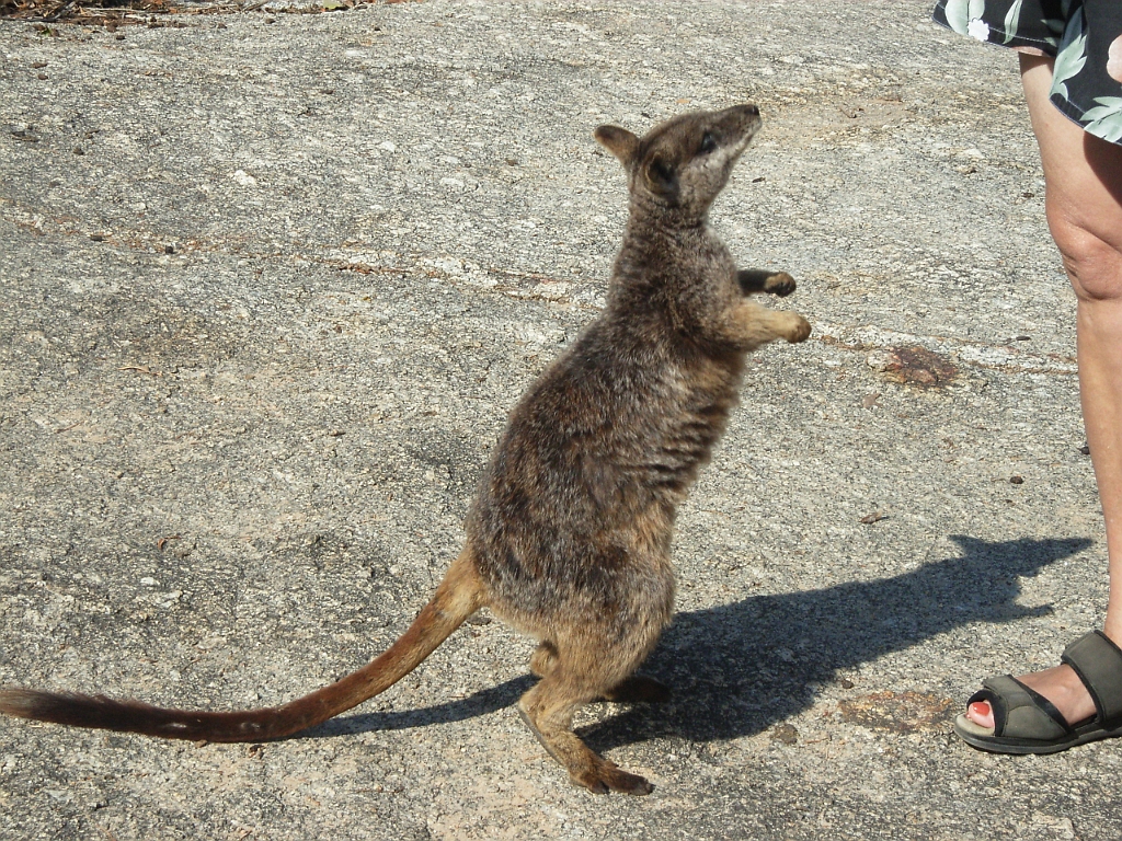 Cairns088.jpg - Unicode