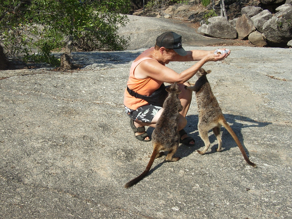 Cairns089.jpg - Unicode