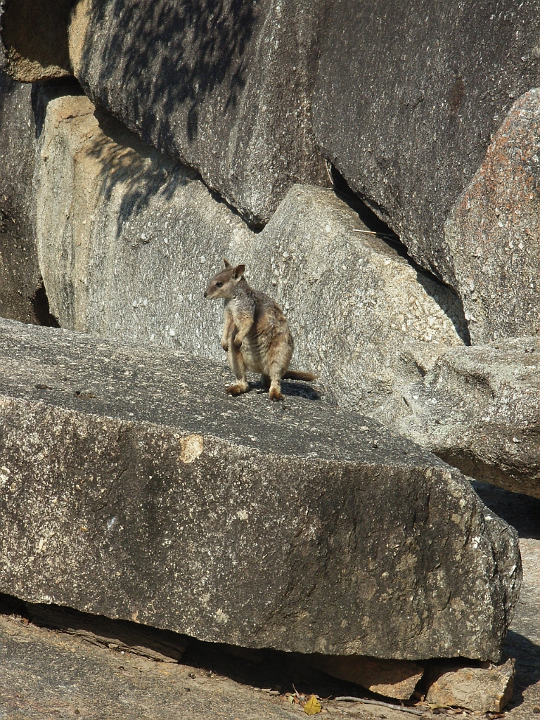 Cairns097.jpg - Unicode