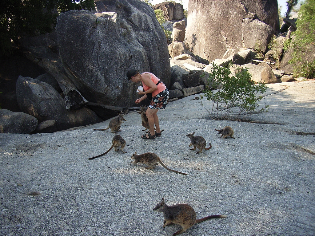 Cairns107.jpg - Unicode