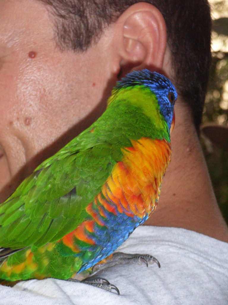 Cairns113.jpg - Unicode