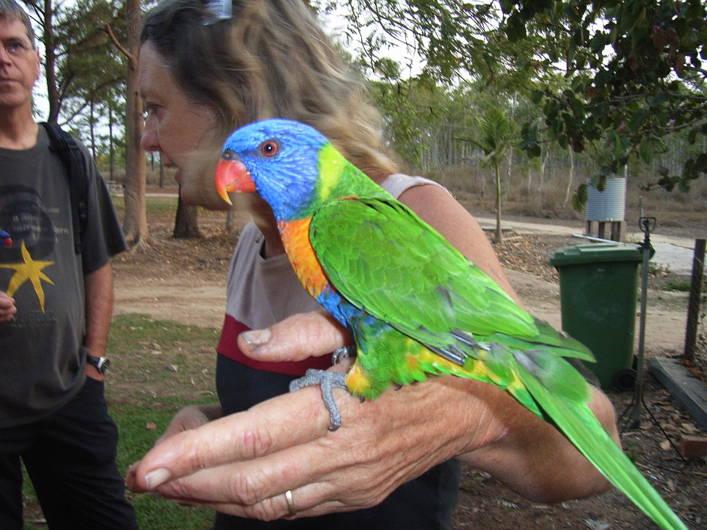 Cairns115.jpg - Unicode