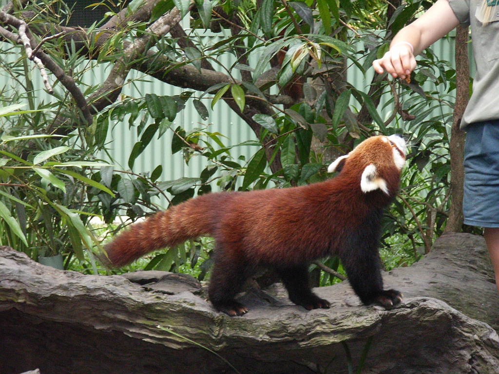 Cairns122.jpg - Unicode