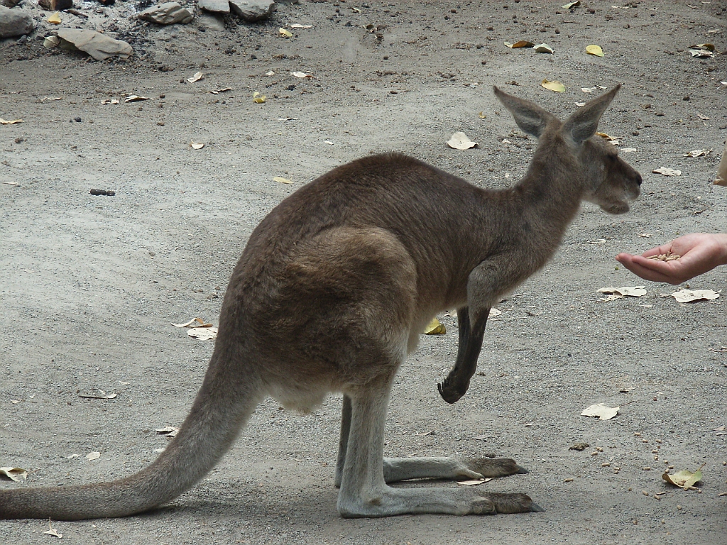 Cairns129.jpg - Unicode