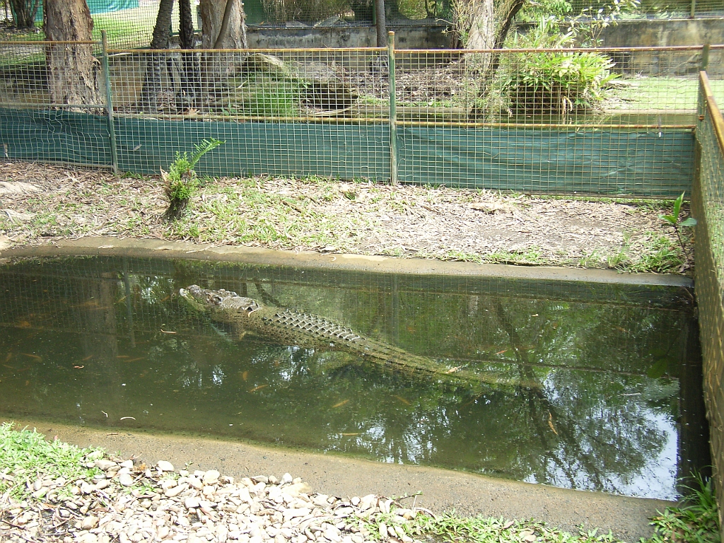 Cairns135.jpg - Unicode