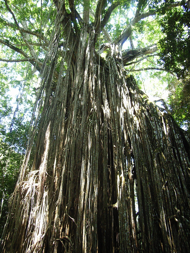 Cairns145.jpg - Unicode