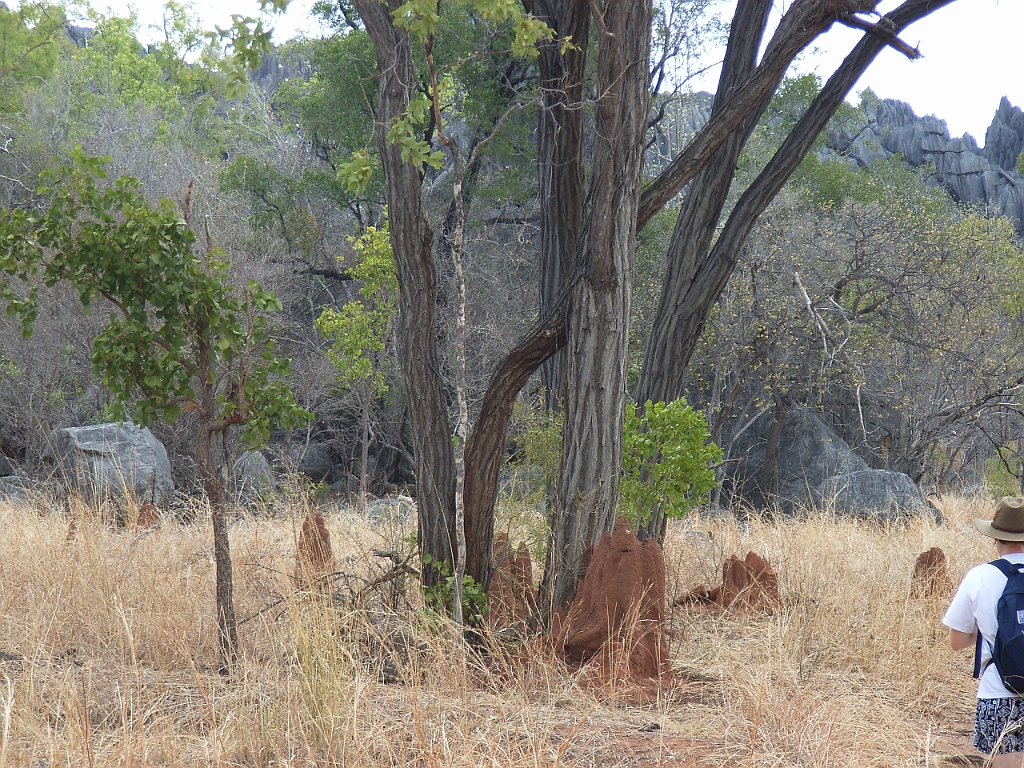 Cairns166.jpg - Unicode