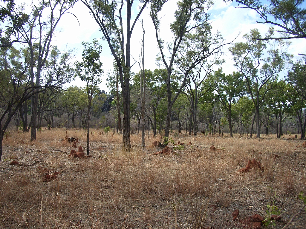 Cairns167.jpg - Unicode