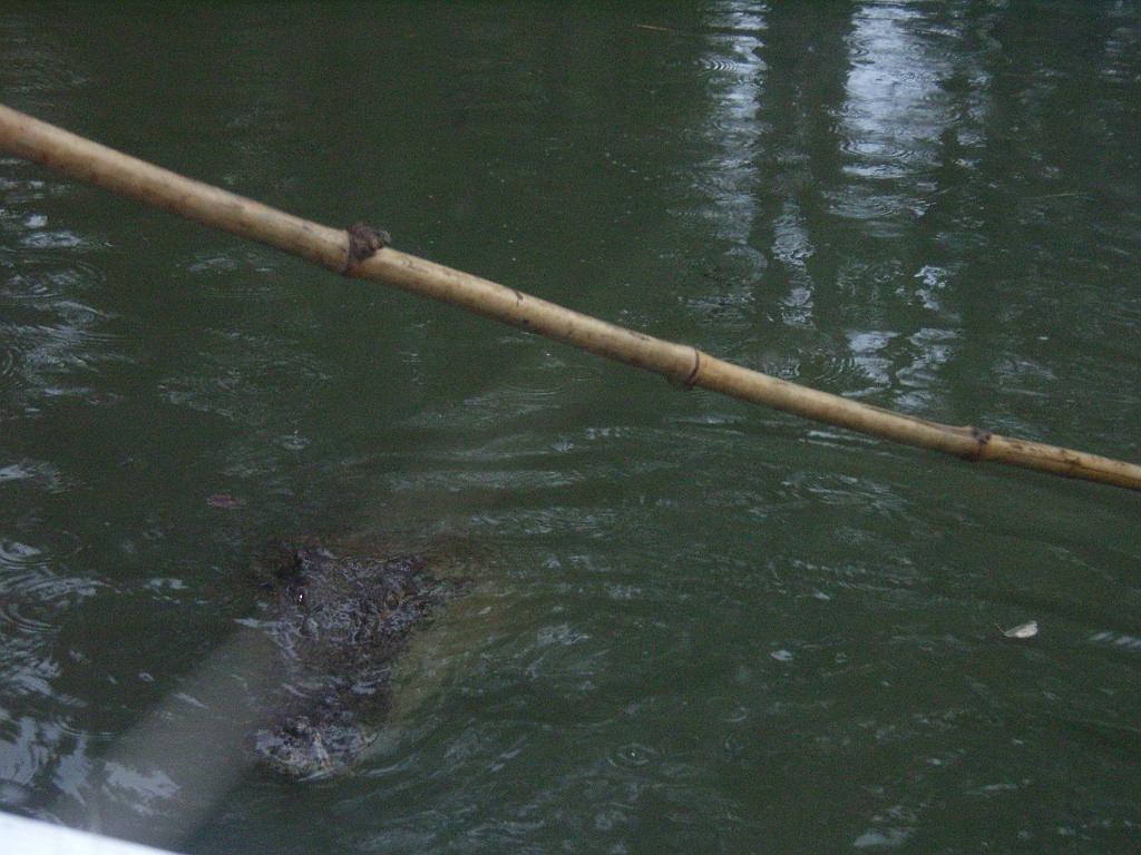 Cairns194.jpg - Unicode