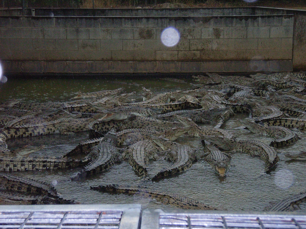 Cairns196.jpg - Unicode