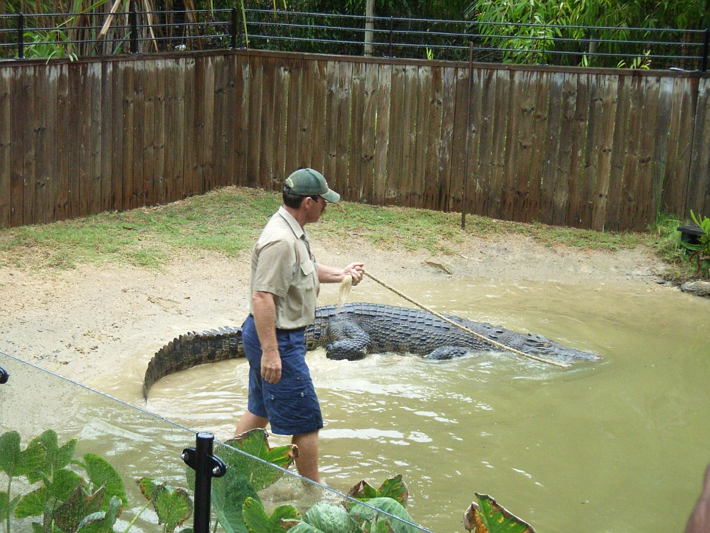 Cairns200.jpg - Unicode