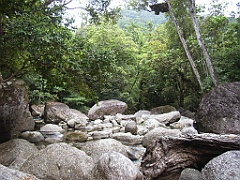Cairns070