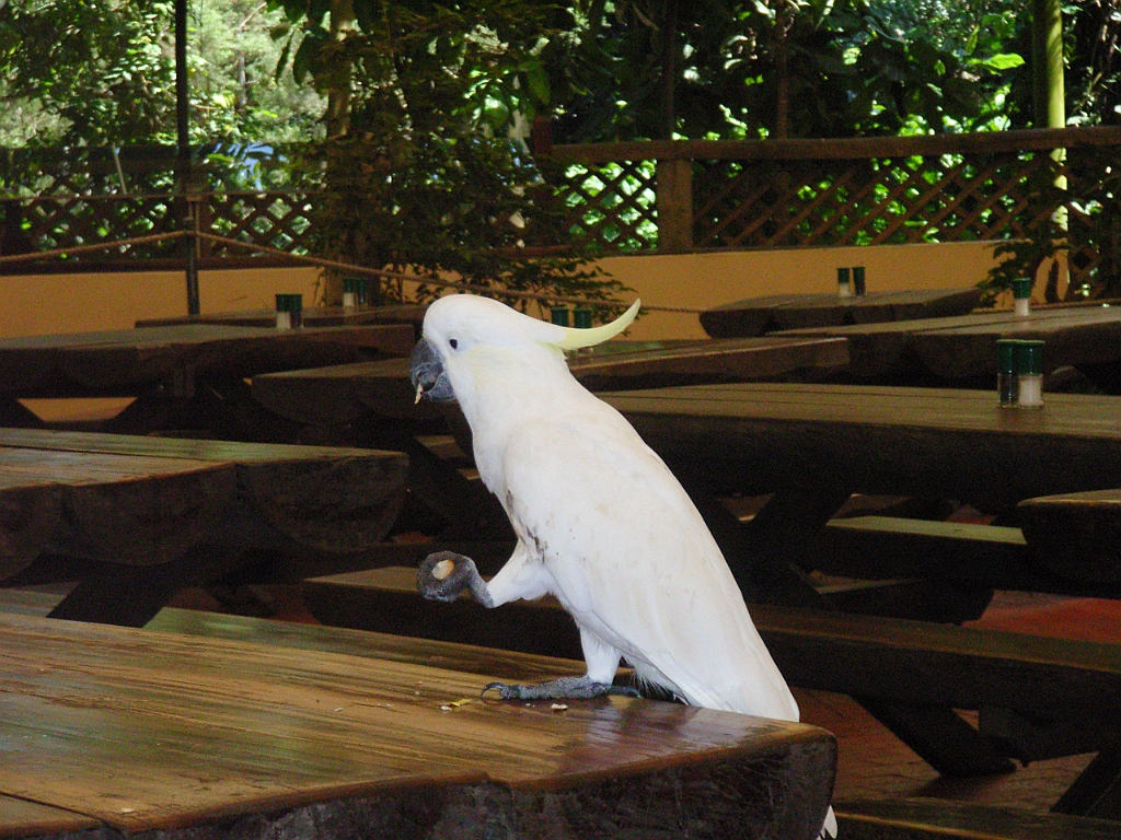 Cairns212.jpg - Unicode