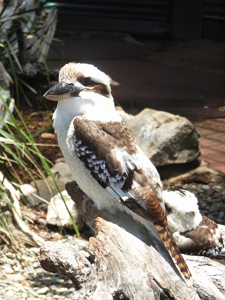 Cairns220.jpg - Unicode