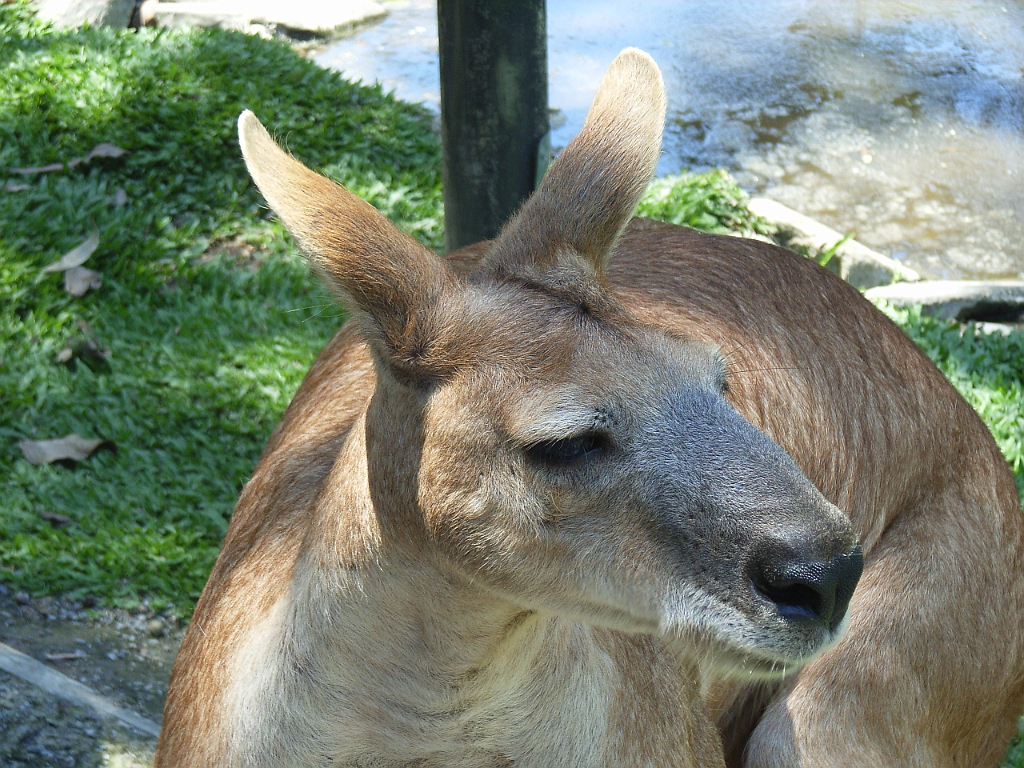 Cairns230.jpg - Unicode