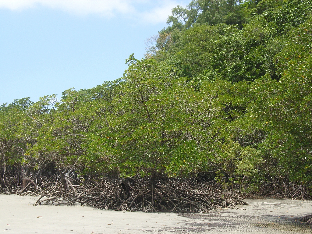 Cairns278.jpg - Unicode