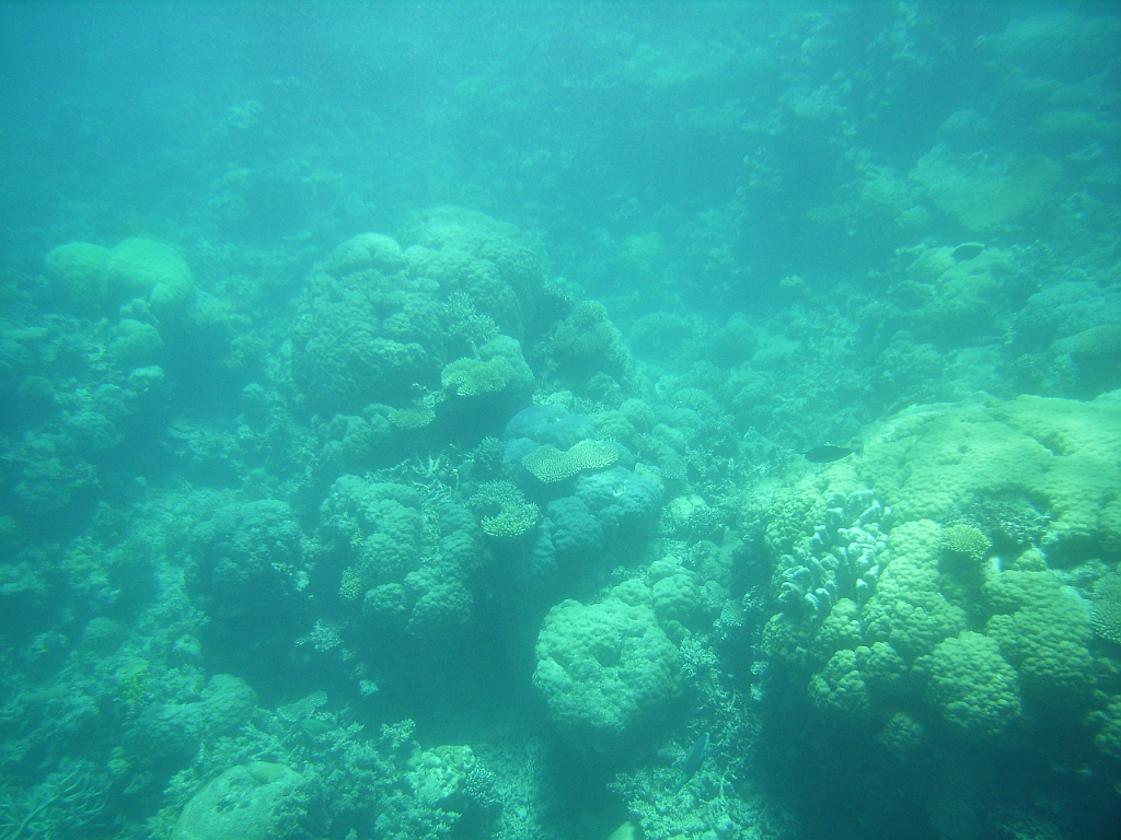 Cairns291.jpg - Unicode