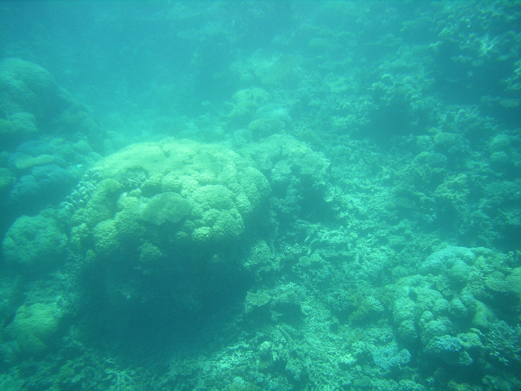 Cairns292.jpg - Unicode