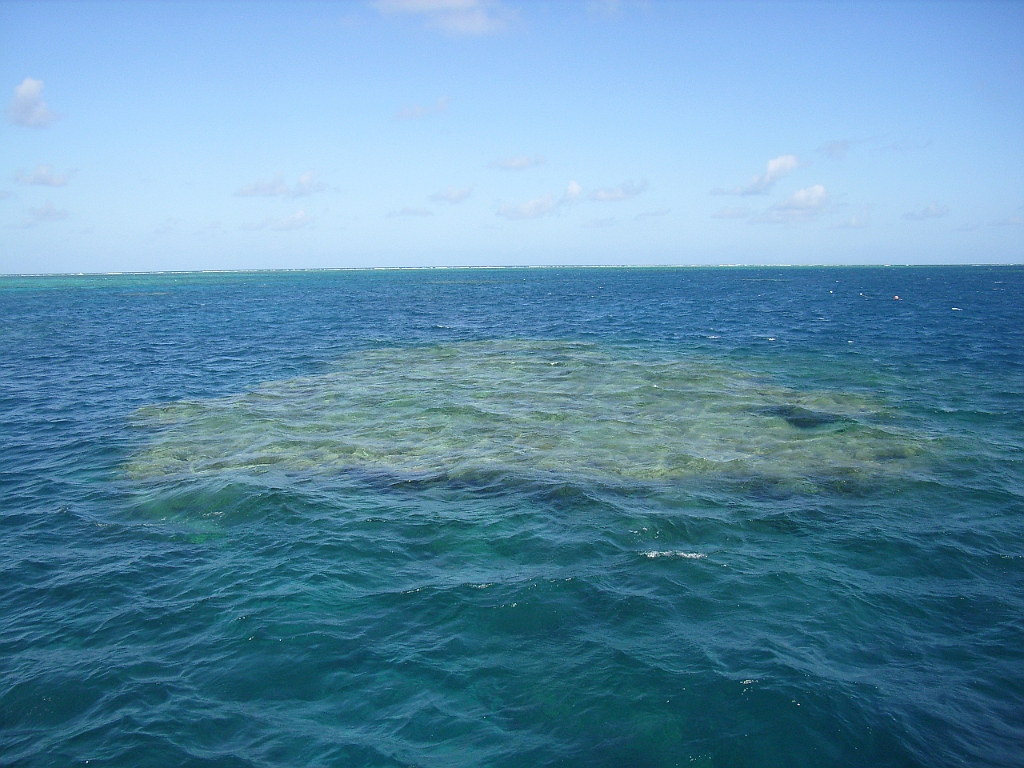 Cairns297.jpg - Unicode