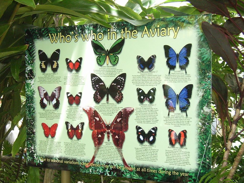 Cairns307.jpg - Unicode