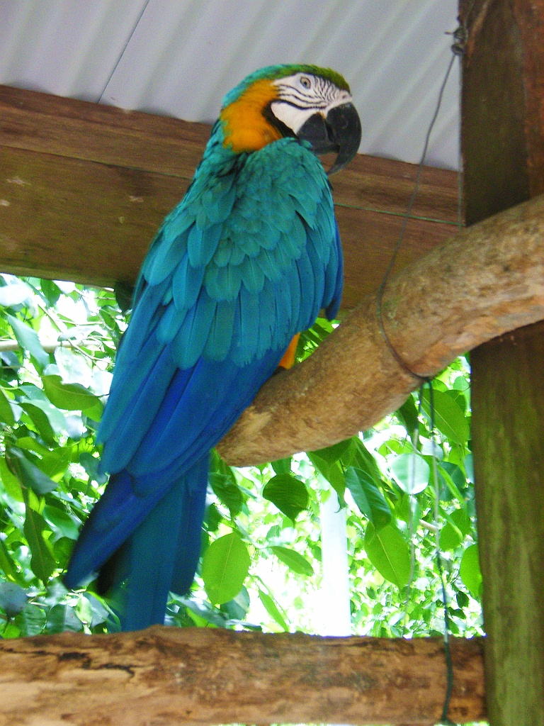 Cairns312.jpg - Unicode