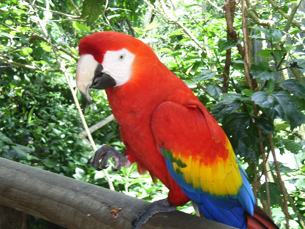 Cairns314.jpg - Unicode