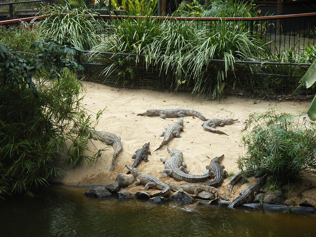 Cairns317.jpg - Unicode