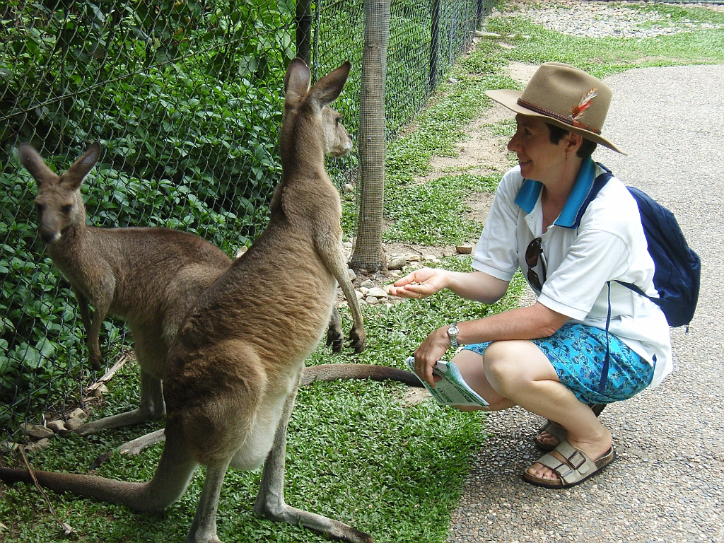 Cairns328.jpg - Unicode