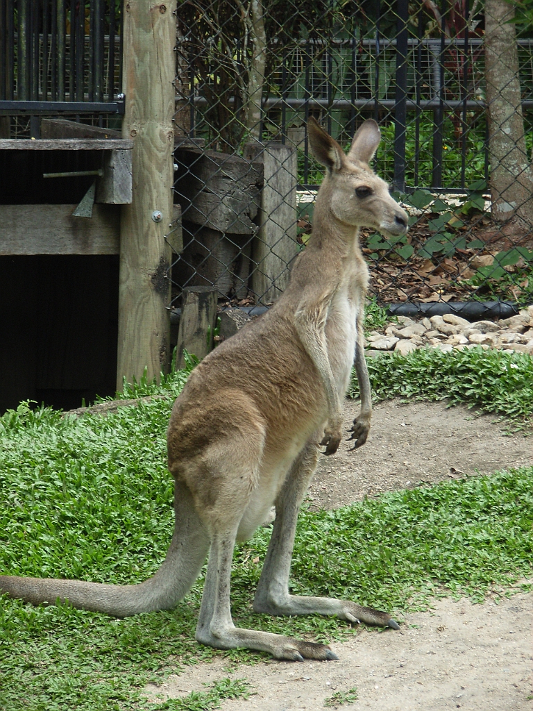 Cairns329.jpg - Unicode