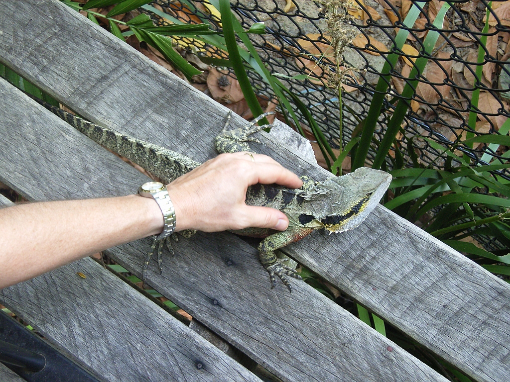 Cairns331.jpg - Unicode