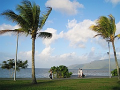 Cairns136