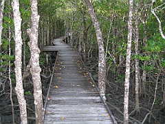 Cairns157