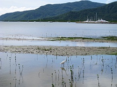 Cairns25