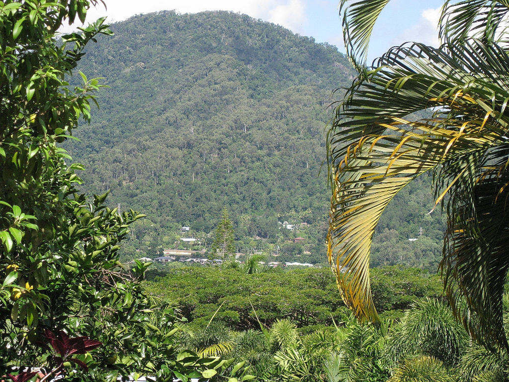 Cairns021.JPG