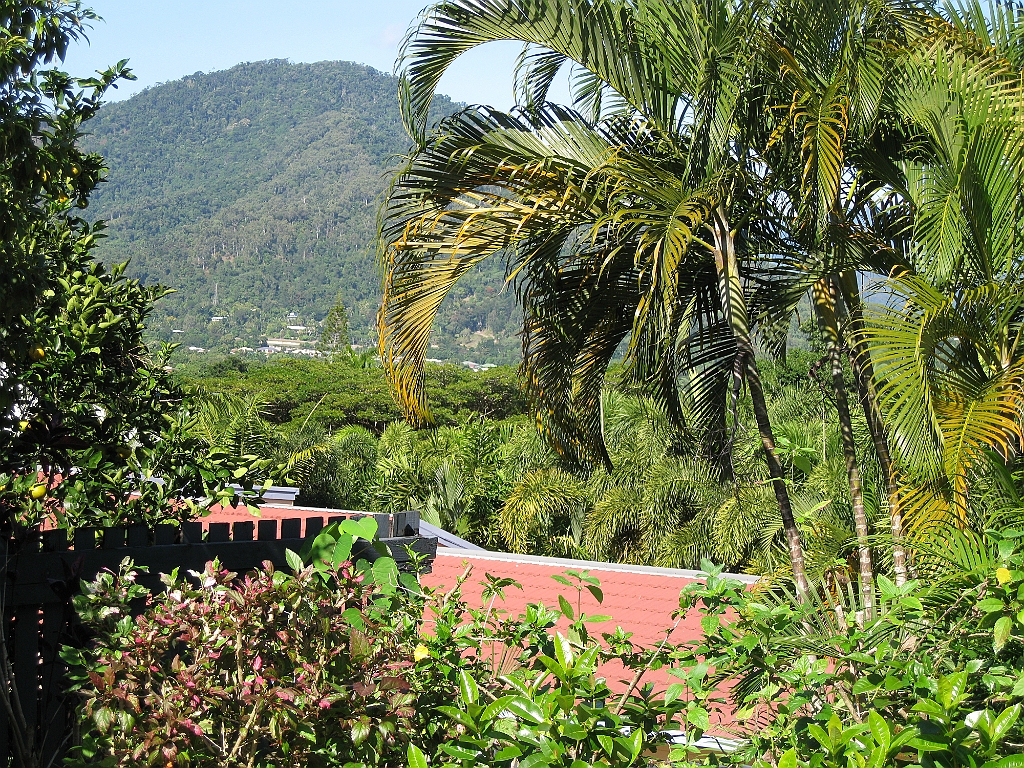 Cairns048.JPG