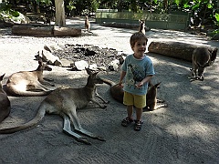 Cairns064