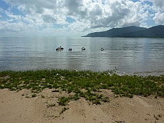 Cairns024