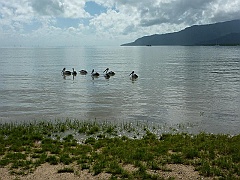 Cairns025