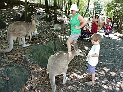 Cairns100